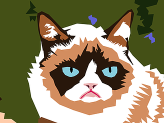 A colored grumpy cat picture